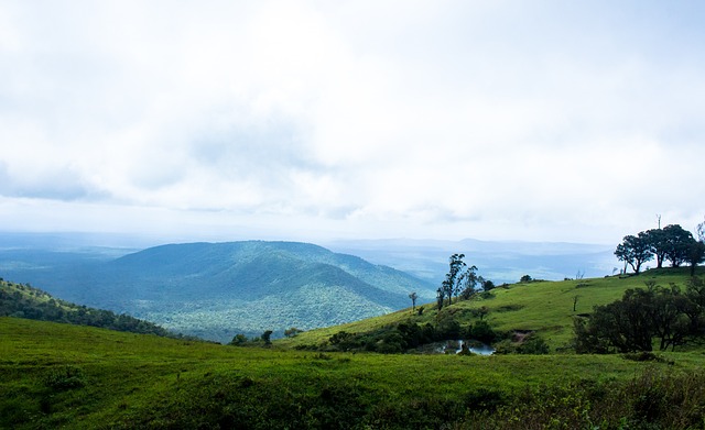 老雷：我无法想象贝林厄姆在世界杯上不首发；更担心后防不稳